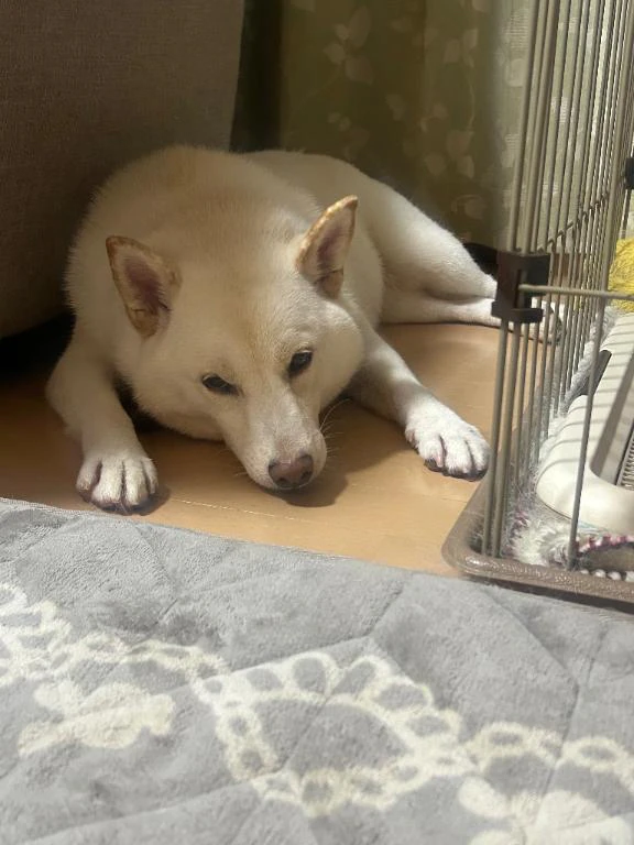 連勤終わりました♡♡