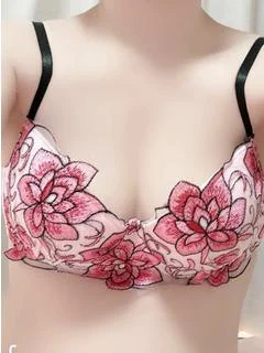 アキホ