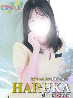 体験　はるか