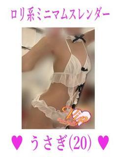 うさぎ(20)ミニマ...