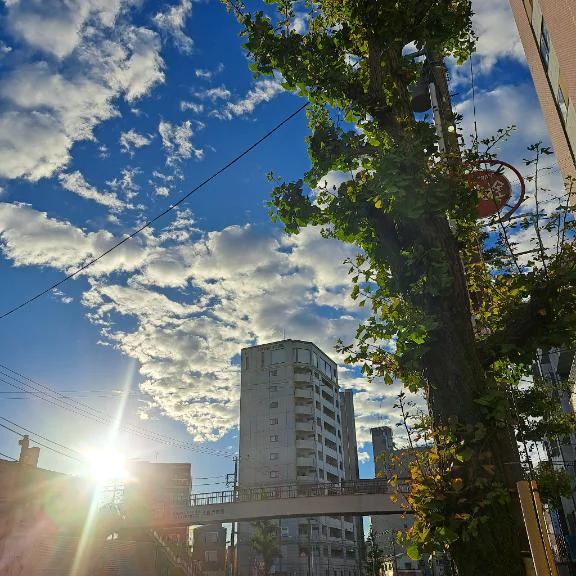 今朝の青空