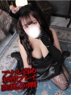 しなもん【バランス型...