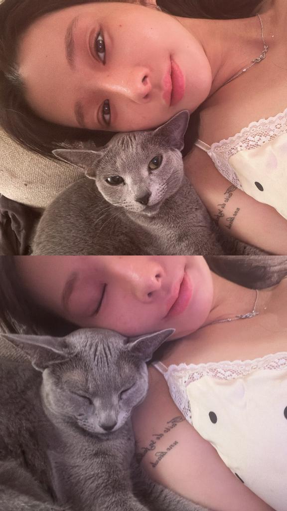 ことね の 猫愛💞