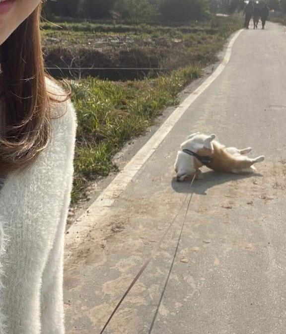みわ の みわです(^^)