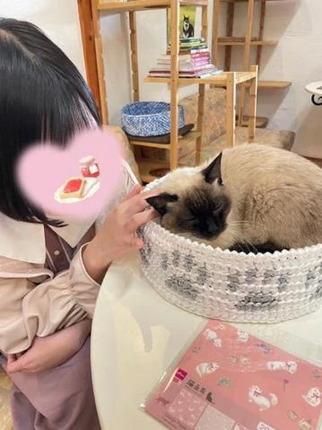 T様