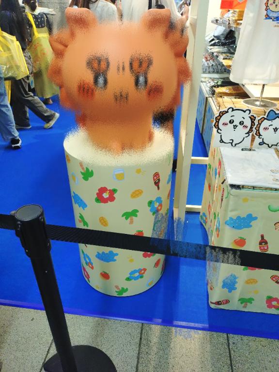 いずみ の 思わず二度見