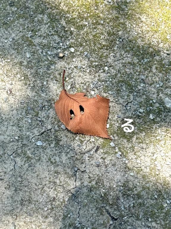 るる の 世界は騒がしい