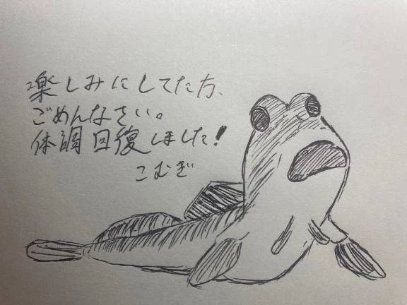 回復しました🫧~トビハゼ~