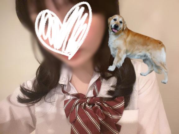 マシロ の 🌷たいきんきん