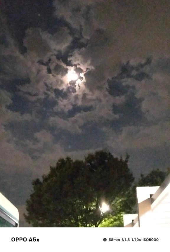 今夜は . . ♥️