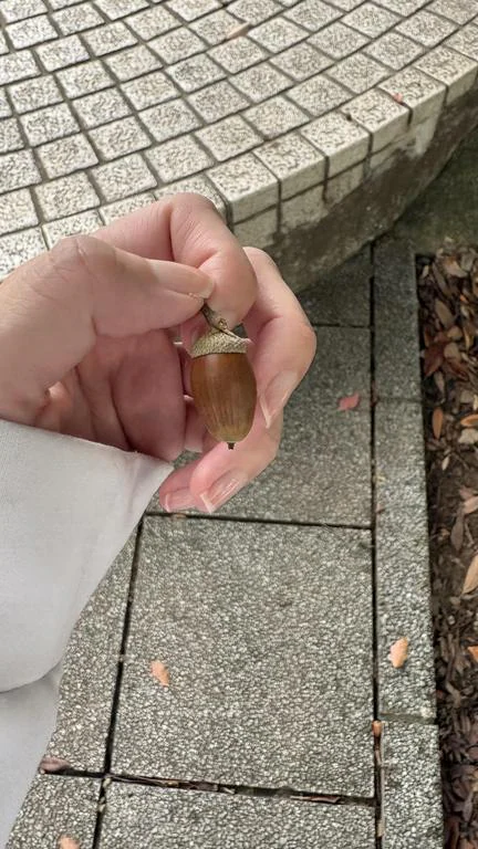 ちいさい秋みつけた🍁