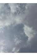 お久しぶり