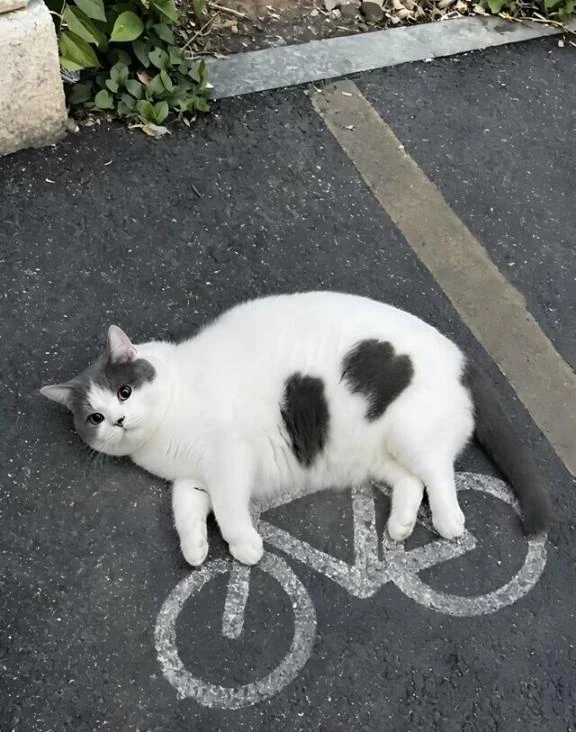 まわす