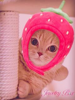 マロ子【 ロリ系 】  〔?歳〕