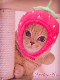 マロ子