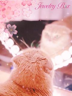 マロ子【キレカワ系】  〔?歳〕