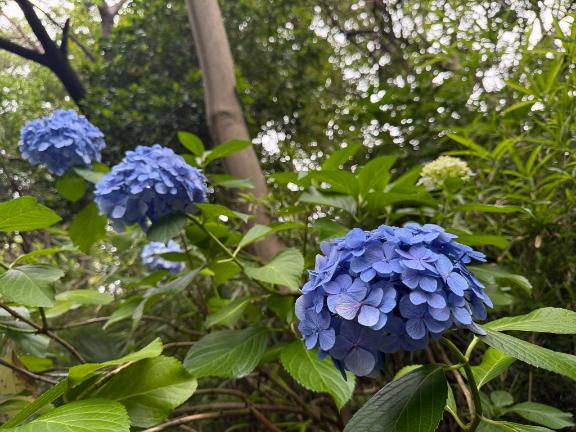瑞穂 の 今日もよろしくお願いいたします✨