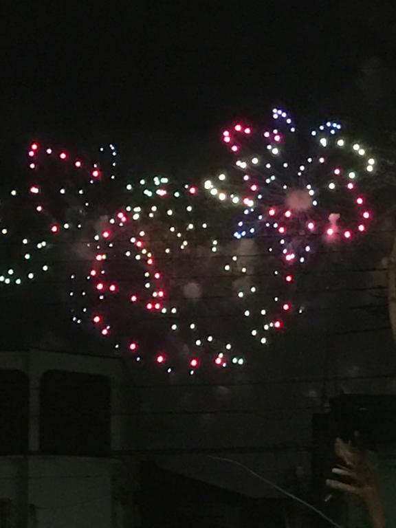 えりか の 花火大会