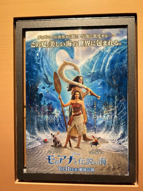 えりか の 観て来ました