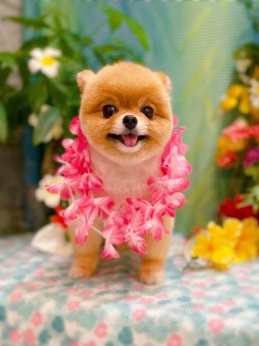 ★碧葉（あおば） の 今日もありがとう😊