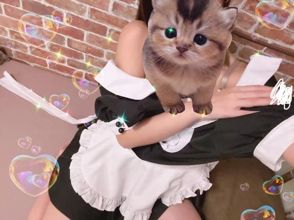 ほんじつ🥰