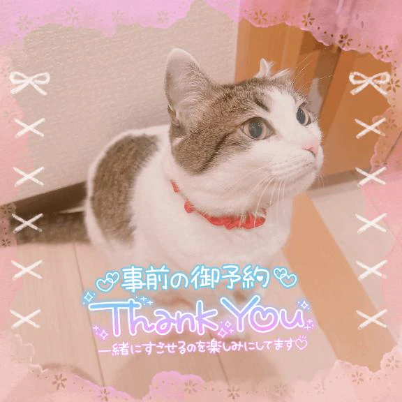 🈳18:00〜、22:00〜🐱💖