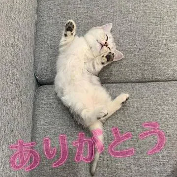 19時～♡