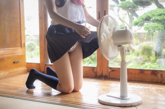 ゆめ の 風とは