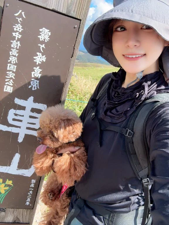 『山登り〜』