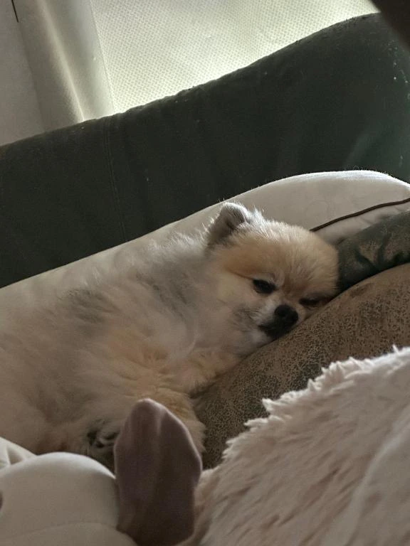 おやすみ💤