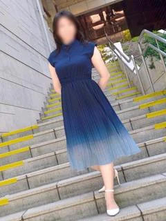 夏帆