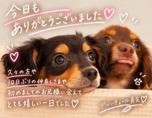 今日はありがとうございました💕