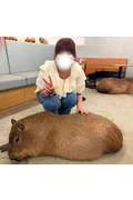 活動記録
