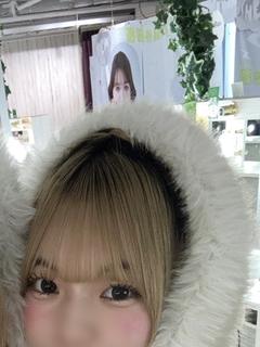 めいと
