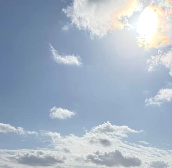 今日は
