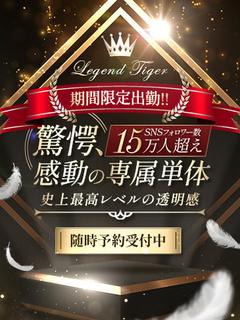 驚愕感動の専属単体