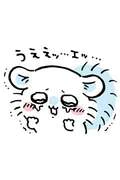 今日はお休