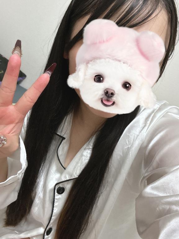 ことり の 暑かったり寒かったり