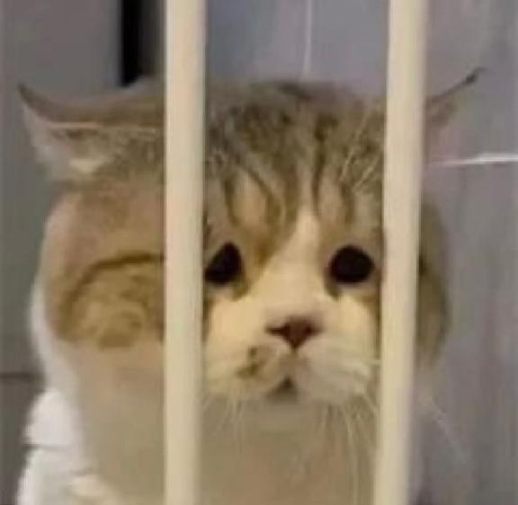 ひな の 本日もありがとうございました✨️