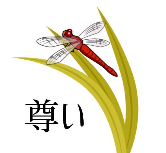 麻衣（まい） の LAST4