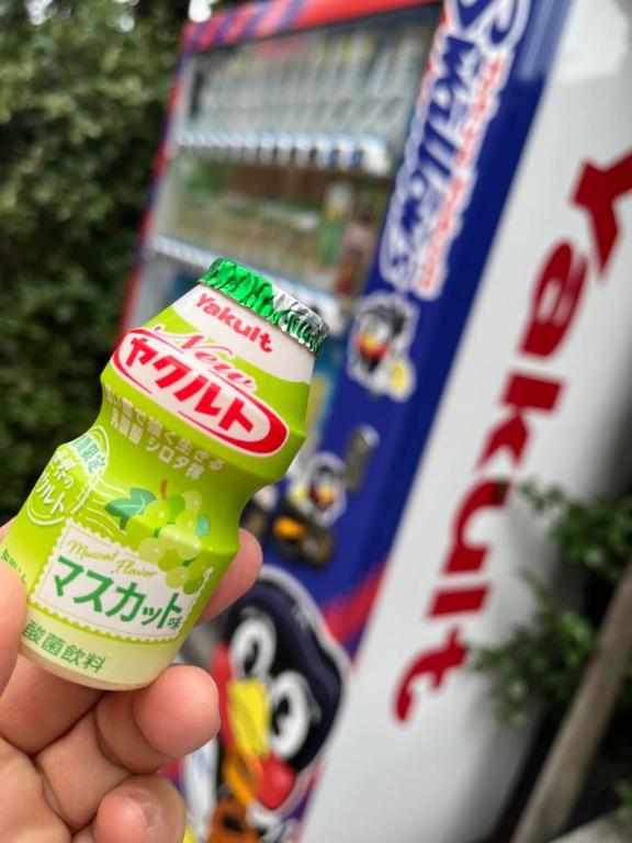 観月ひかる の 負けました