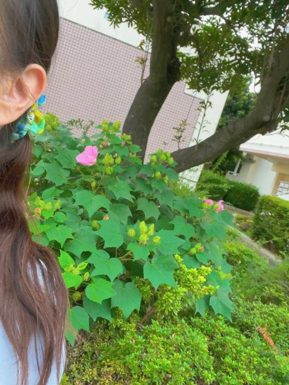 観月ひかる の 買い物