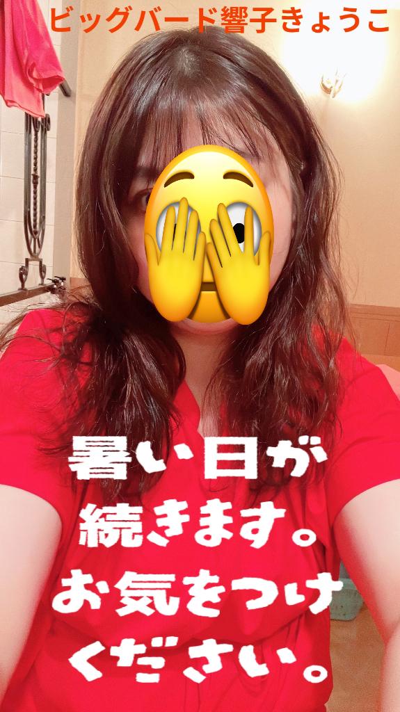 響子（きょうこ） の 暑い1週間