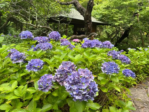 『とも』 の いま一度ご承知ください。