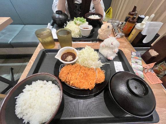 もゆ の えびとハムスターとブタ