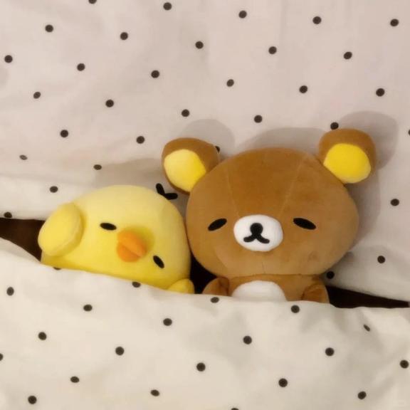 はるひ の 申し訳ございません