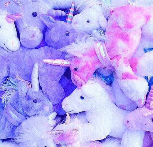 らん の ごめんなさい、、！