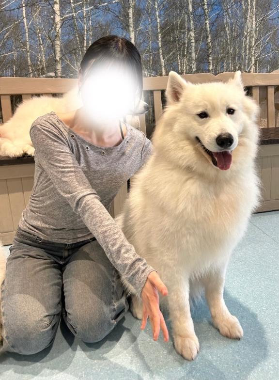 すい の 🐶 ̖́-‬🐶🦴🐶 ̖́-‬🐶🦴🐶 ̖́-‬🐶🦴🐶 ̖́-‬