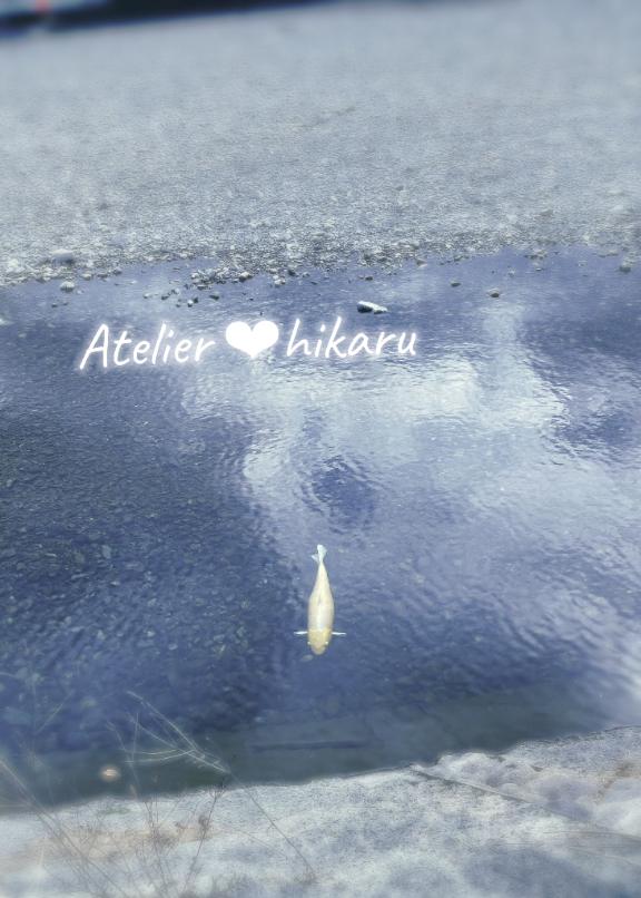 ひかる の ♡最大のドジ♡