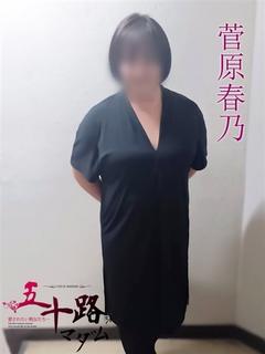 菅原春乃(すがわらは...